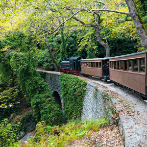 Pelion